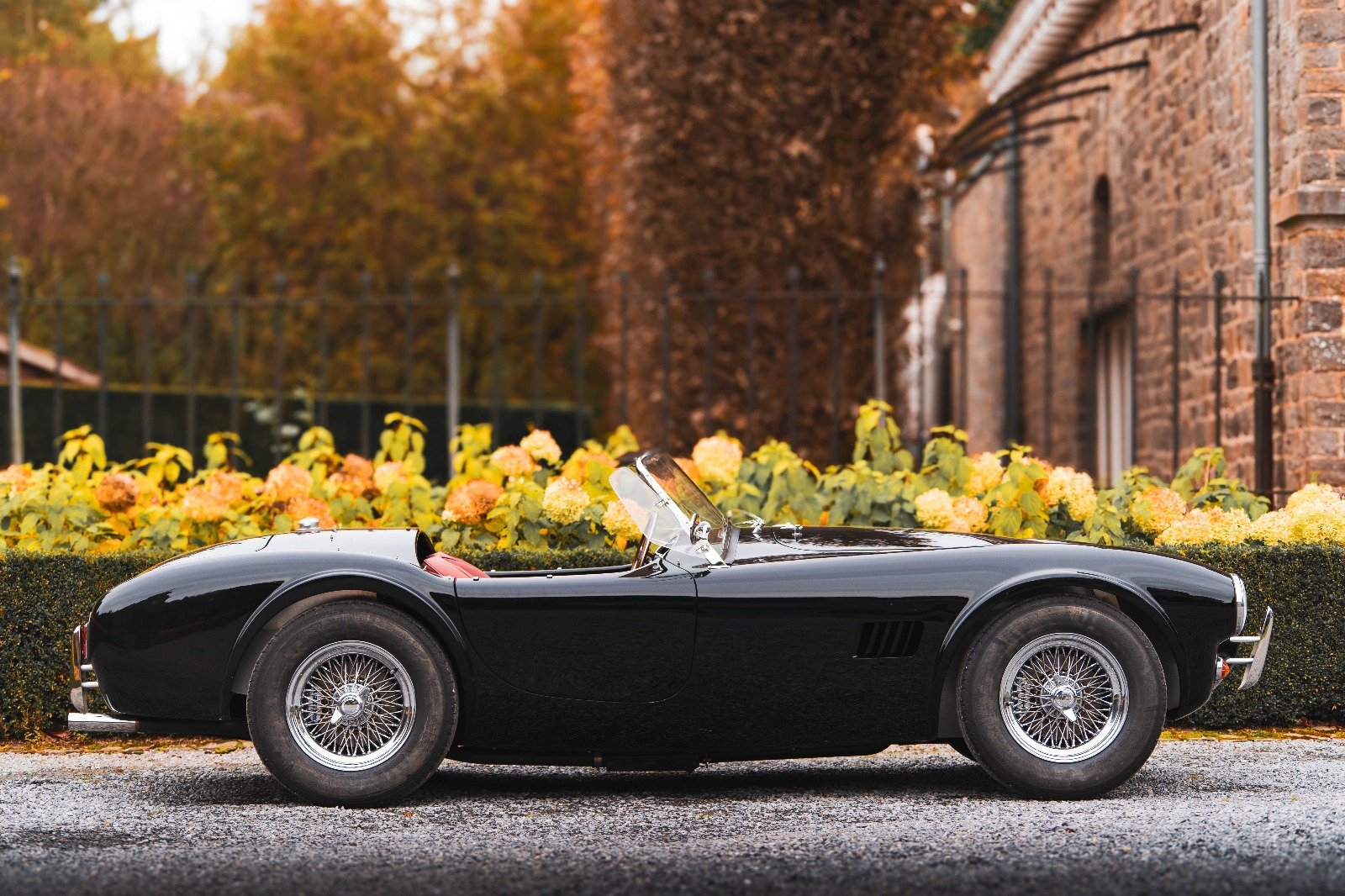 Shelby Cobra noire, vue de profil devant des massifs fleuris