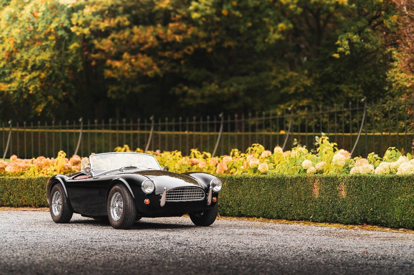 Shelby Cobra noire, vue de trois-quarts avant en lumière dorée